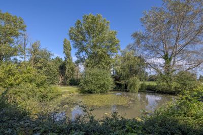 Vente Maison Saint-Antonin-de-Sommaire 7&nbsp;Pièces 260&nbsp;m²