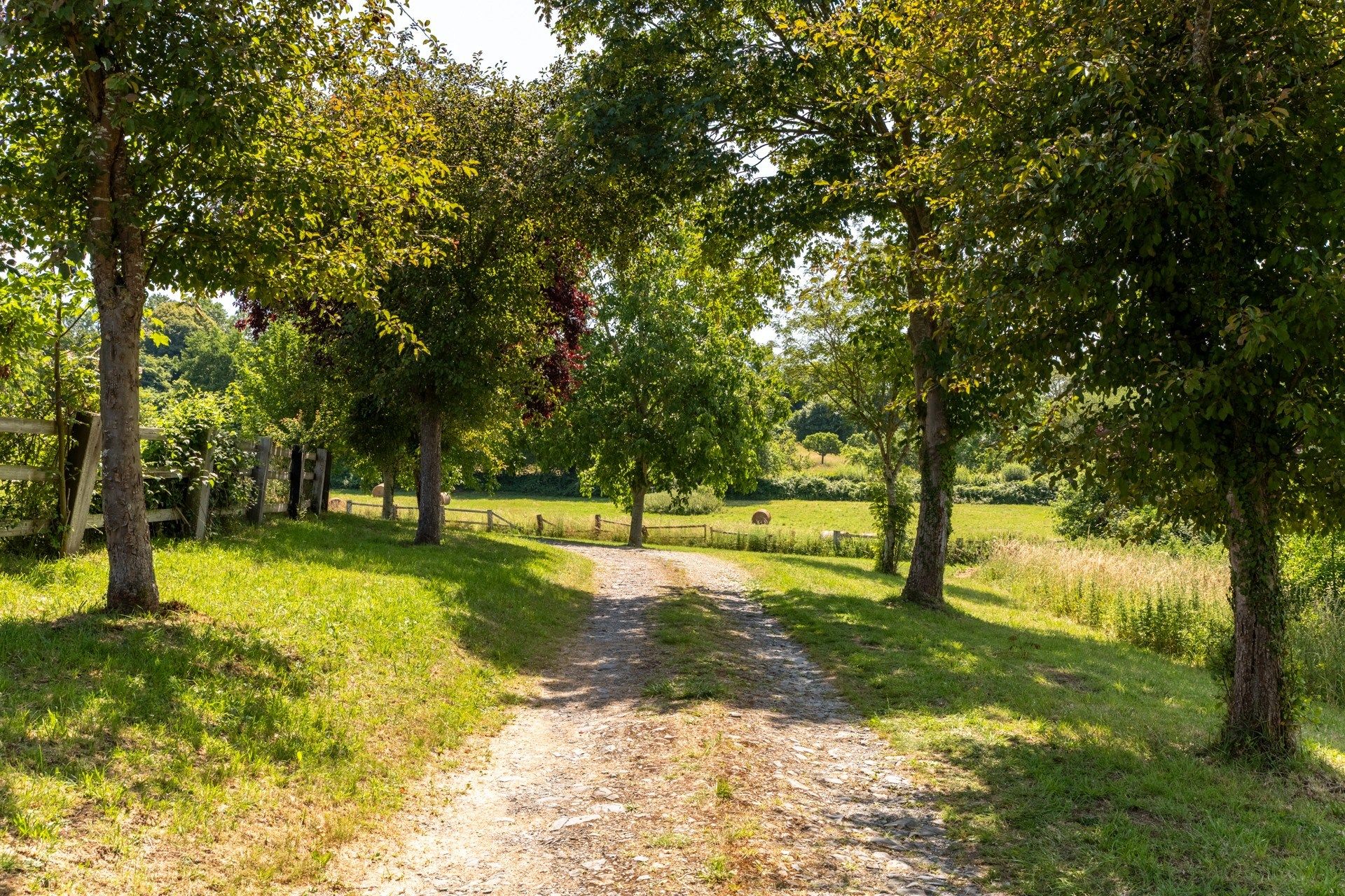 house 8 Rooms for sale on BEAUMONT EN AUGE (14950)