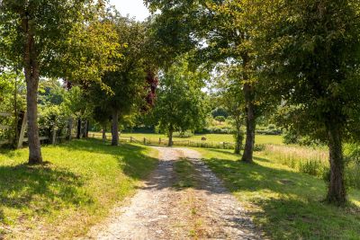 Sale House Beaumont-en-Auge 8 Rooms 290 m²