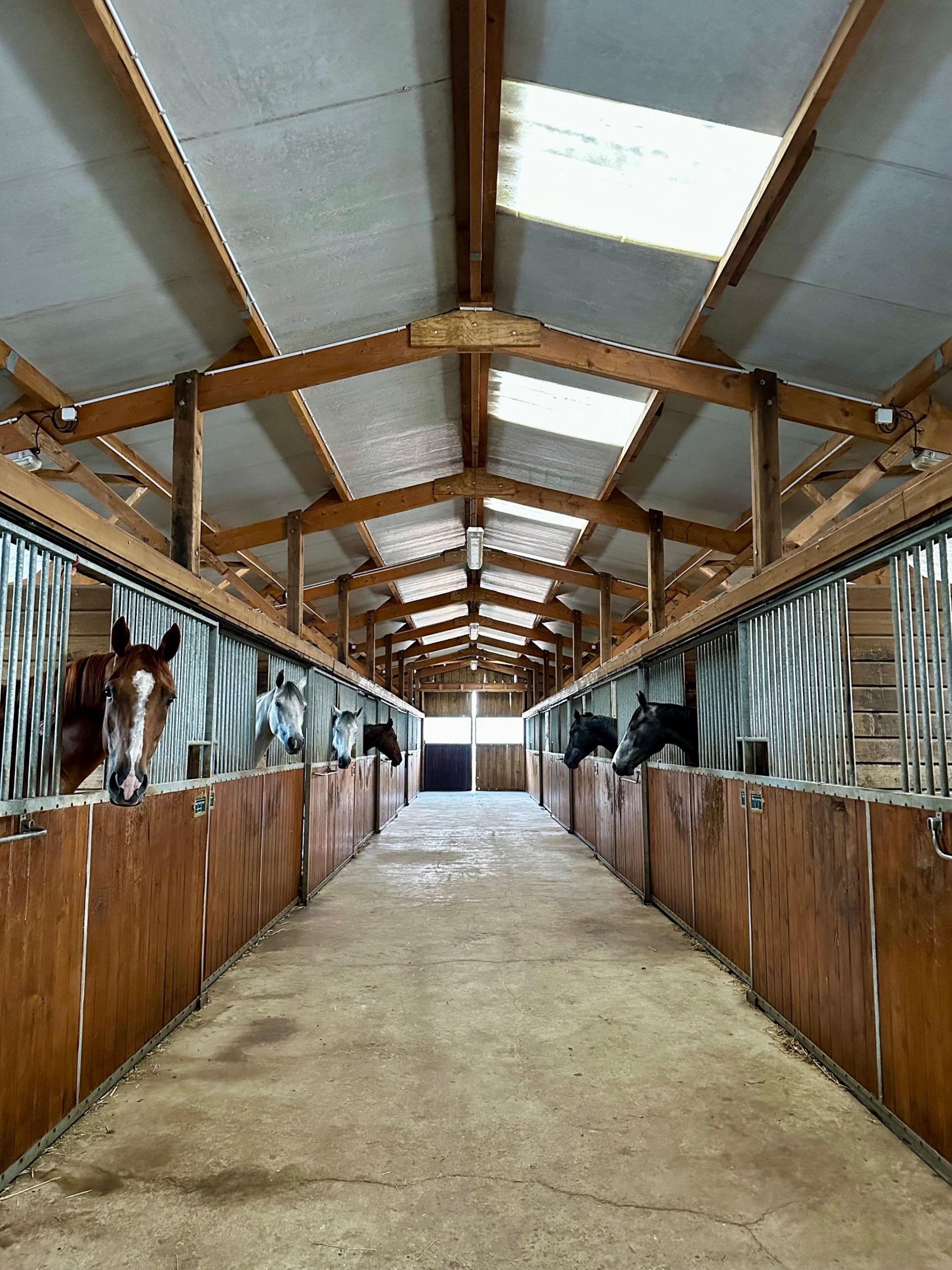 propriété équestre 6 Pièces en vente sur ST DESIR (14100)