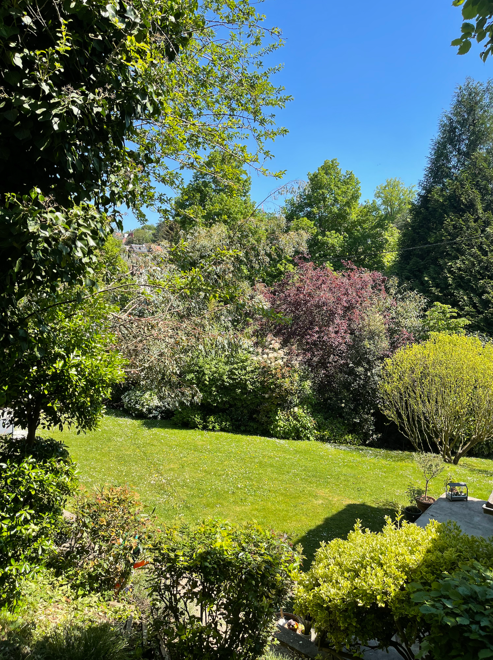 maison 8 Pièces en vente sur ROUEN (76000)