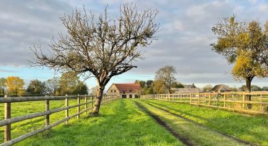 house 9 Rooms for sale on TROUVILLE SUR MER (14360)