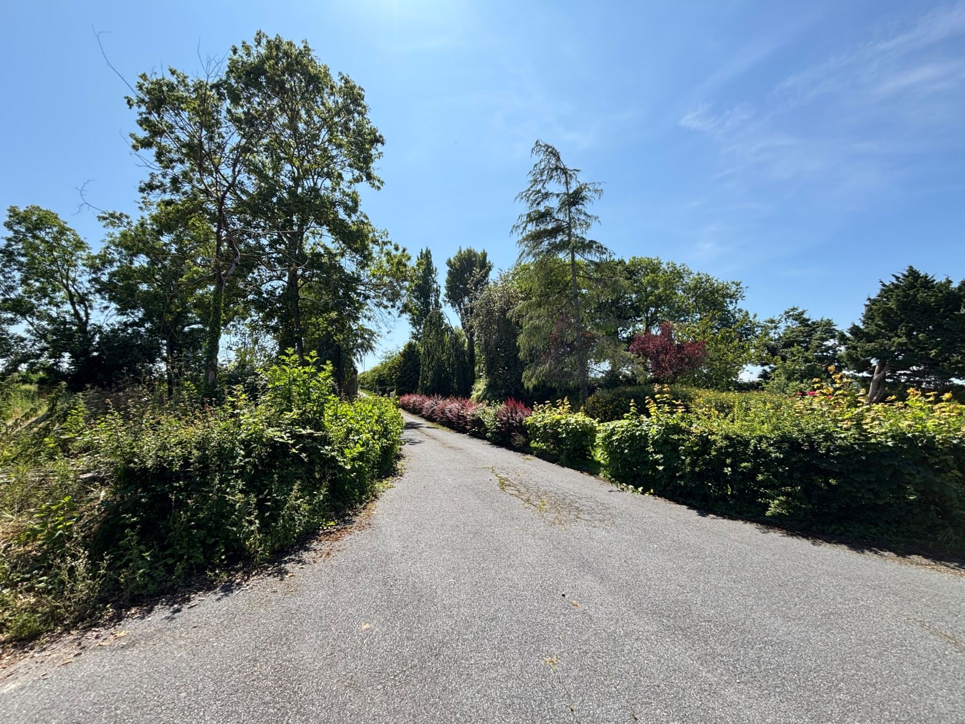 maison 7 Pièces en vente sur CARENTAN LES MARAIS (50500)