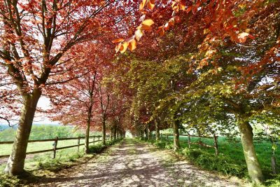 manor house 10 Rooms for sale on ECAQUELON (27290) Sale Manor house Écaquelon 10 Rooms 300 m²