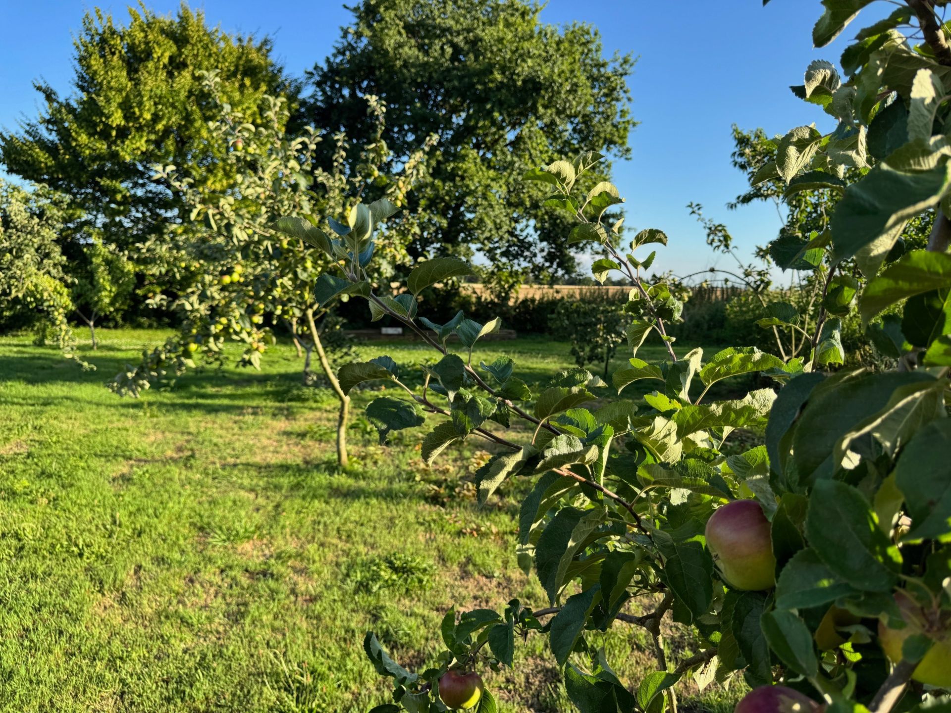 maison 7 Pièces en vente sur BARENTIN (76360)