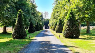 mansion 16 Rooms for sale on DEAUVILLE (14800)