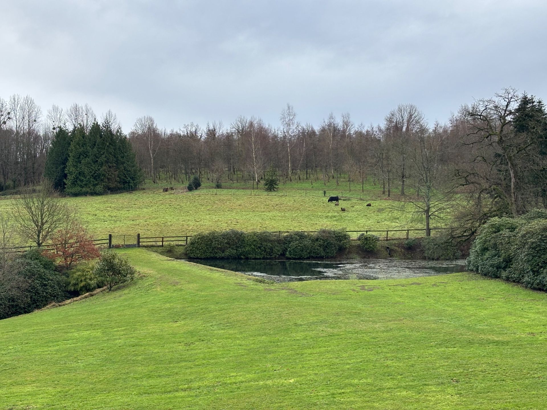 house 16 Rooms for sale on ST LO (50000)