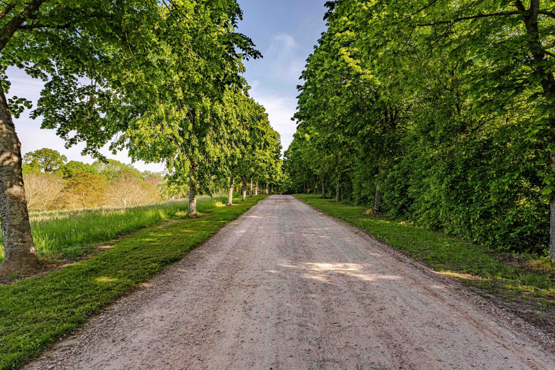 house 40 Rooms for sale on PONT L EVEQUE (14130)