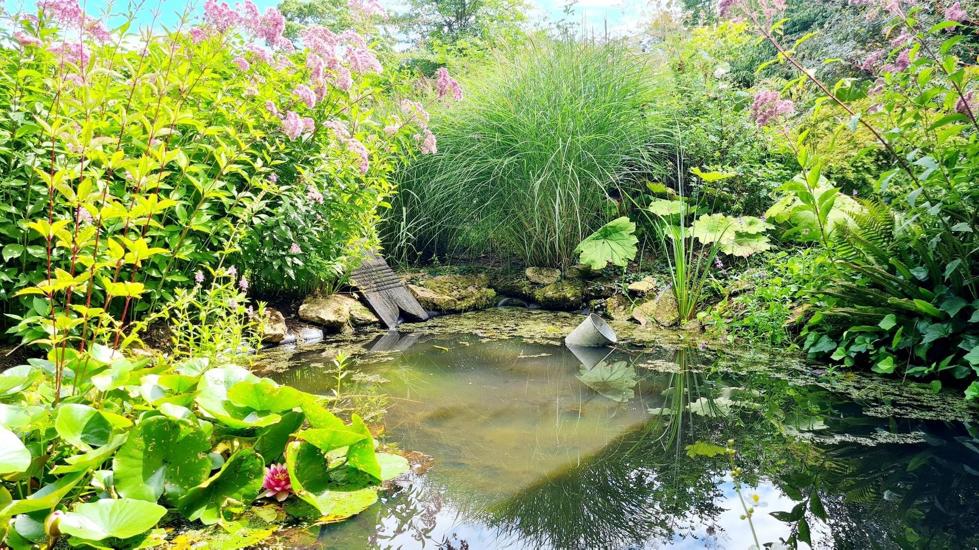 house 40 Rooms for sale on PONT L EVEQUE (14130)