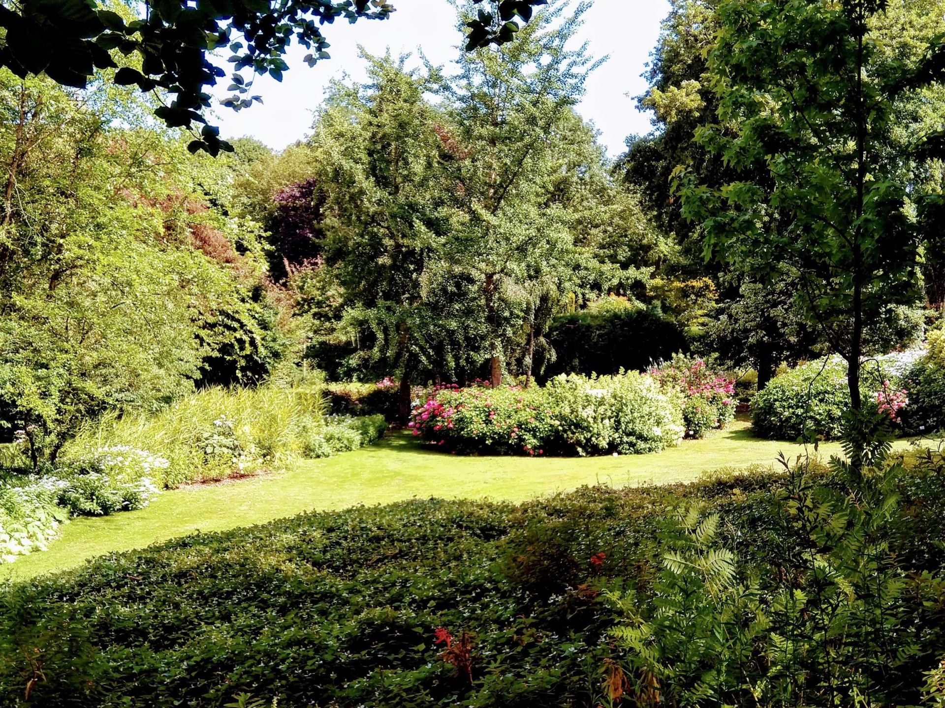 house 40 Rooms for sale on PONT L EVEQUE (14130)