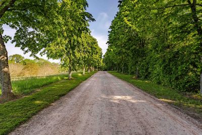 Sale House Pont-l'Évêque 40&nbsp;Rooms 1100&nbsp;m²