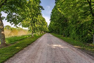 house 40 Rooms for sale on PONT L EVEQUE (14130)