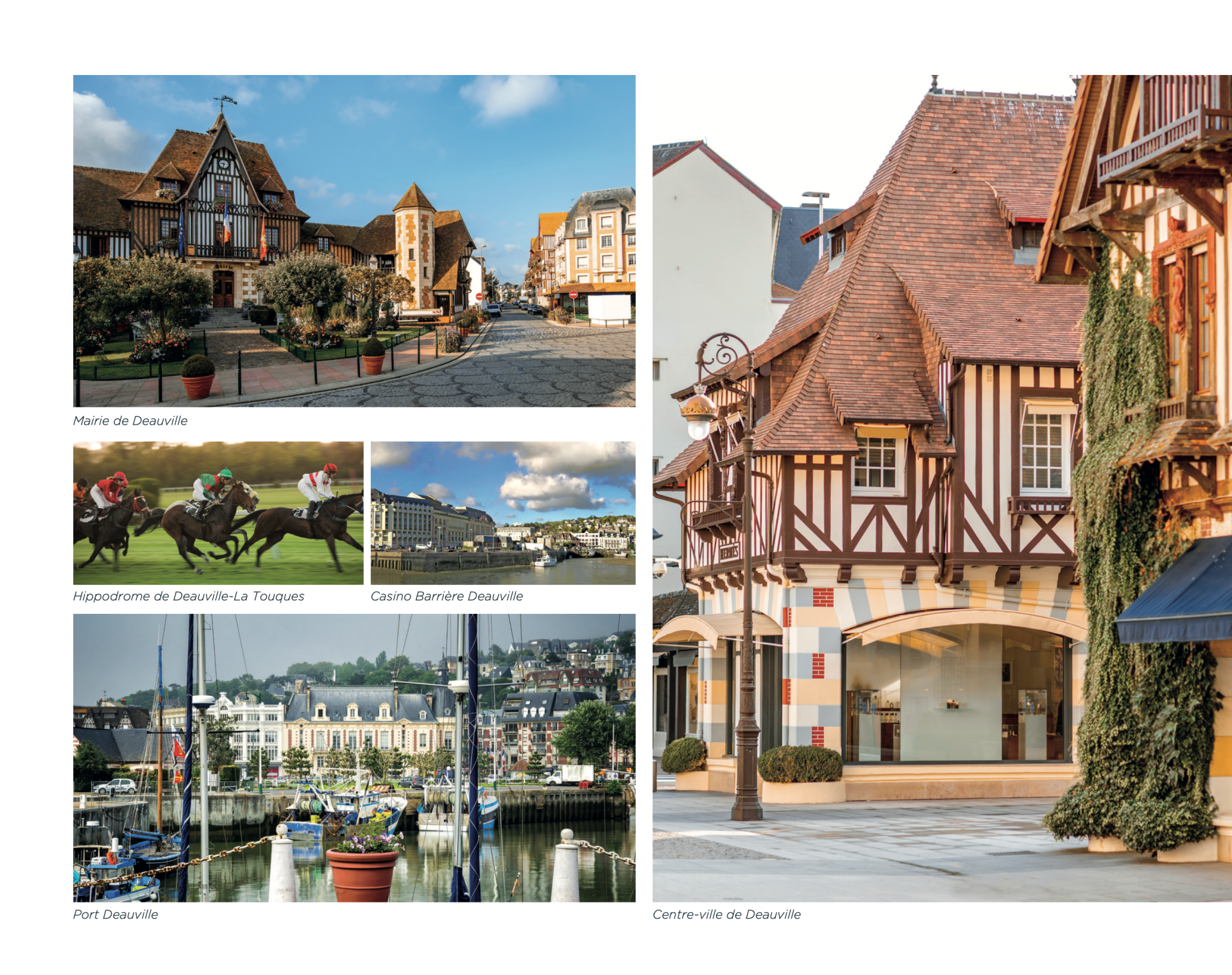 appartement 1 pièce en vente sur DEAUVILLE (14800)