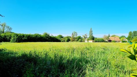 Sale Land Pont-l'Évêque 1000&nbsp;m²