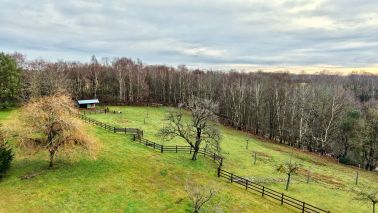 maison 5 Pièces en vente sur ST GATIEN DES BOIS (14130)