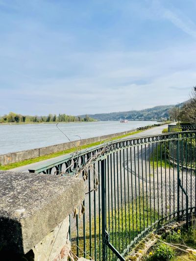 Vente Maison bourgeoise Caumont 10&nbsp;Pièces 364&nbsp;m²