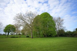 maison 9 Pièces en vente sur BAYEUX (14400)