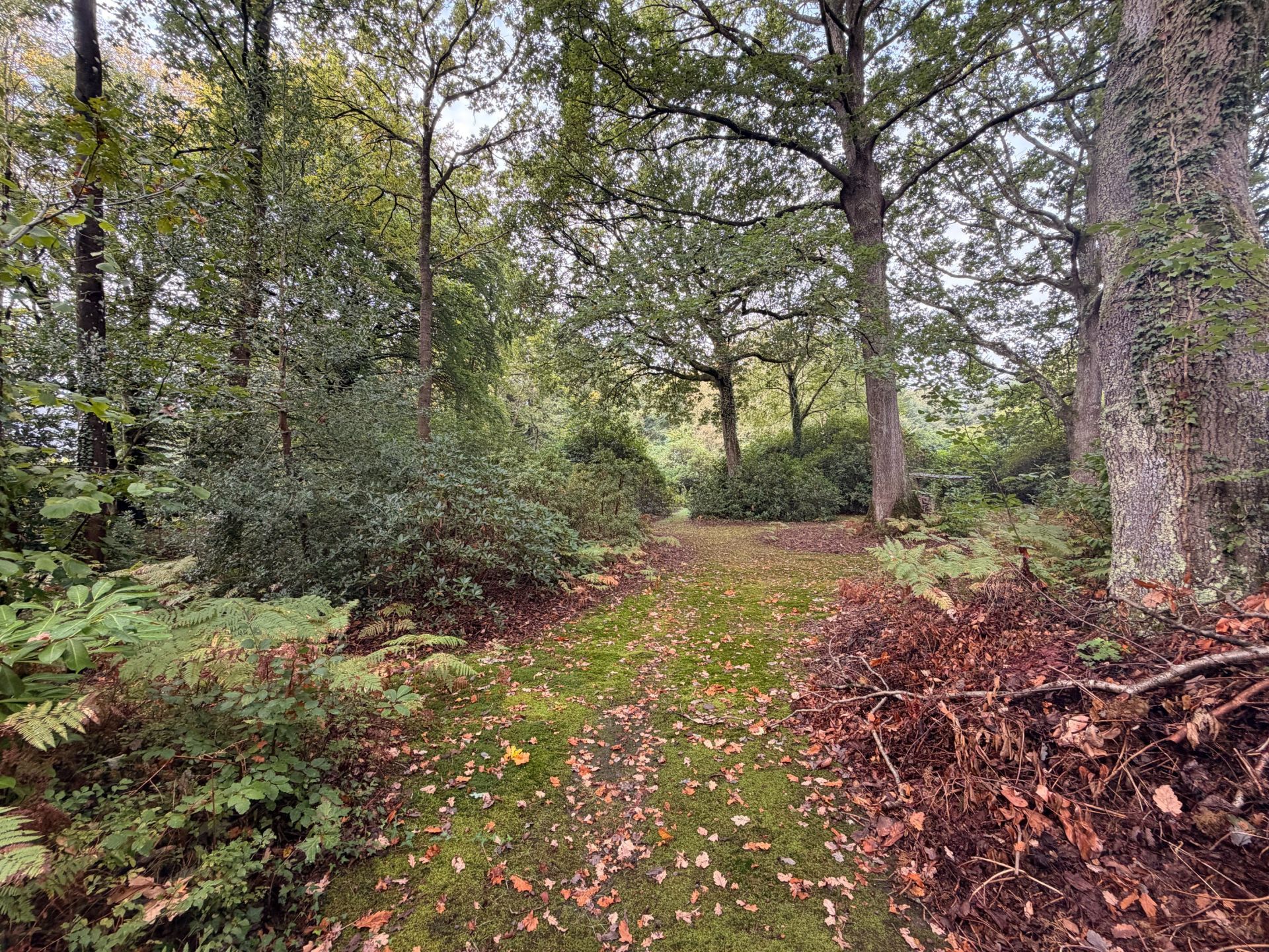 terrain à bâtir en vente sur ST GATIEN DES BOIS (14130)