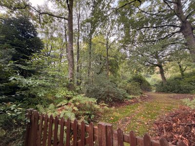 Vente Terrain à bâtir Saint-Gatien-des-Bois 3811&nbsp;m²