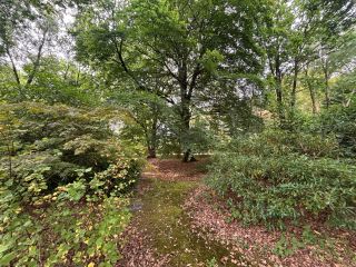 terrain à bâtir en vente sur ST GATIEN DES BOIS (14130)