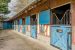 equestrian property 6 Rooms for sale on PONT L EVEQUE (14130)
