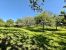 house 6 Rooms for sale on HAUSSEZ (76440)